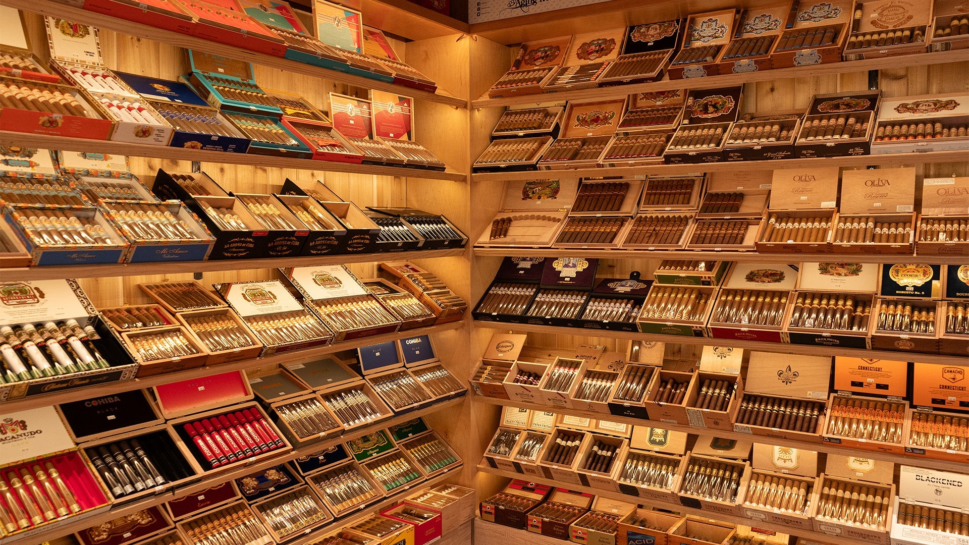 Premium Cigars in Santa Monica: An Insider's Guide for 2026