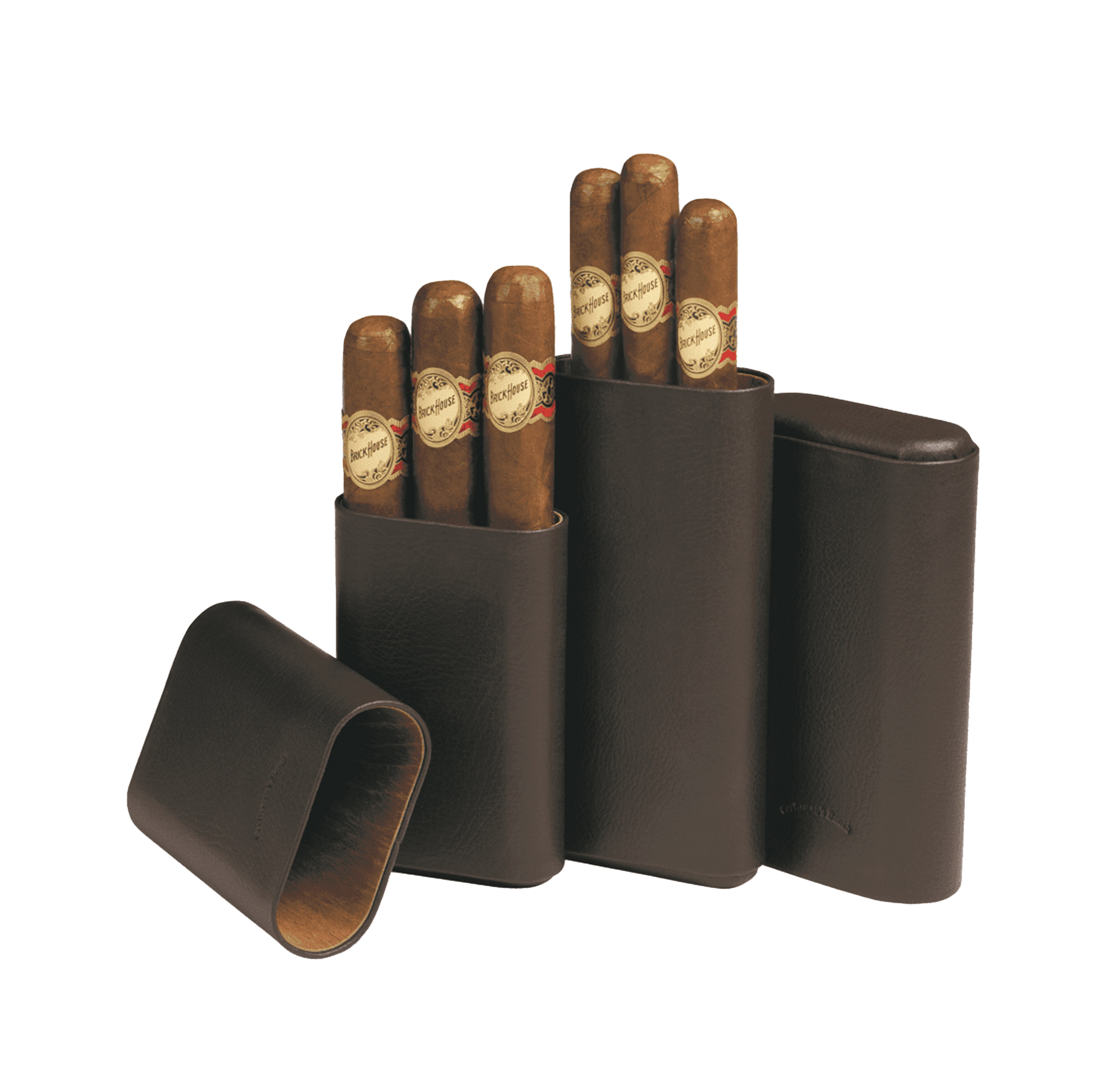 60-Ring Leather Case (Brown)