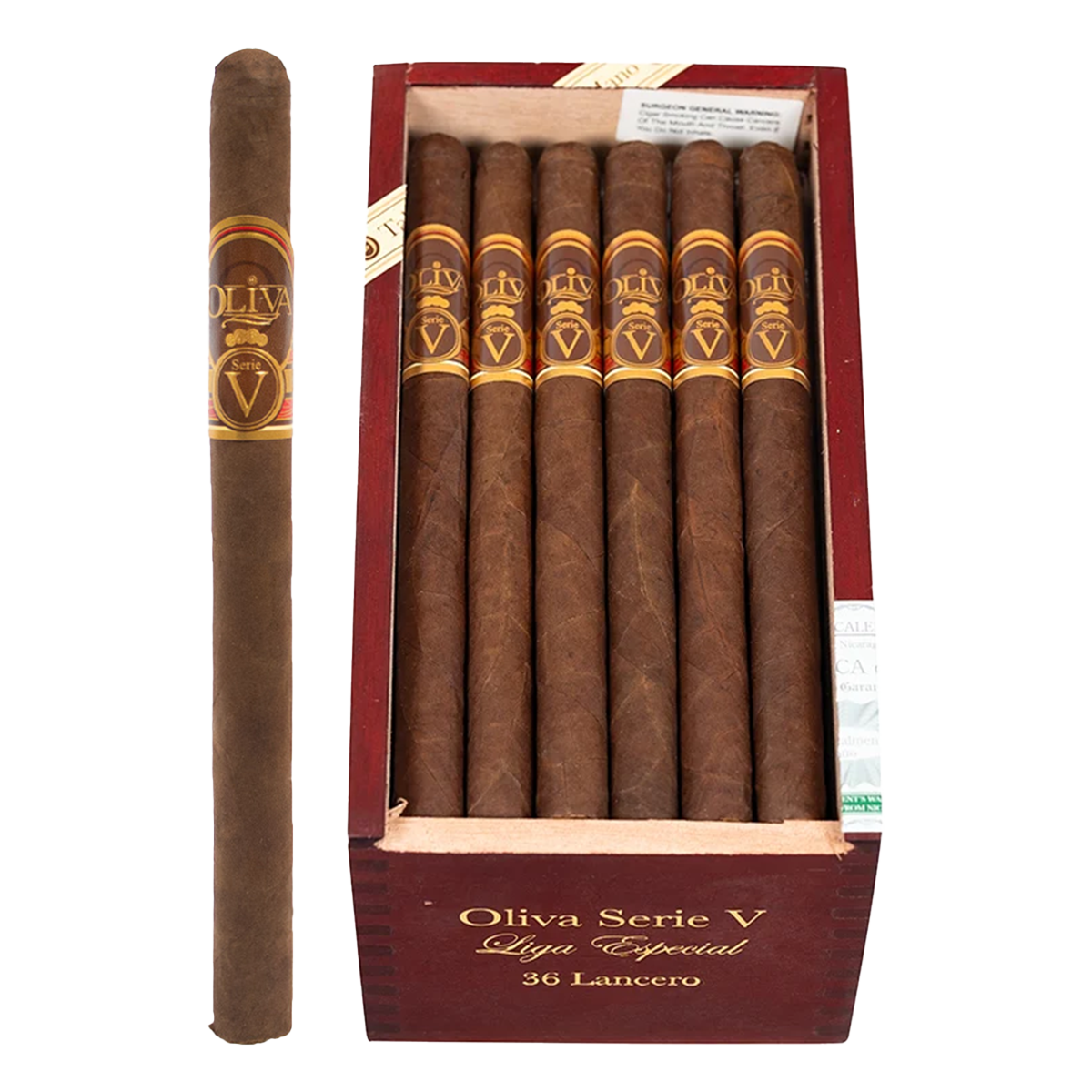 Oliva V Lancero