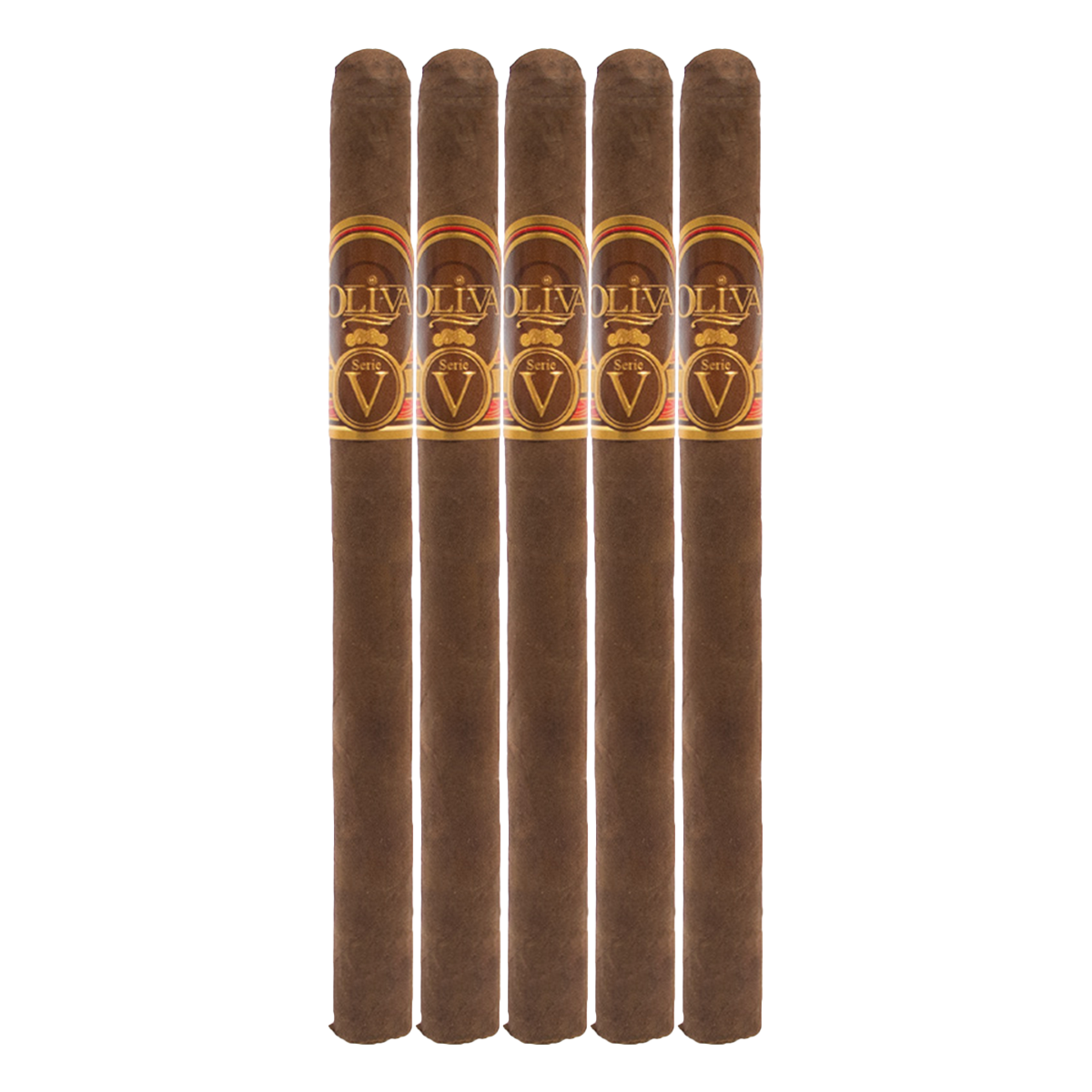 Oliva V Lancero