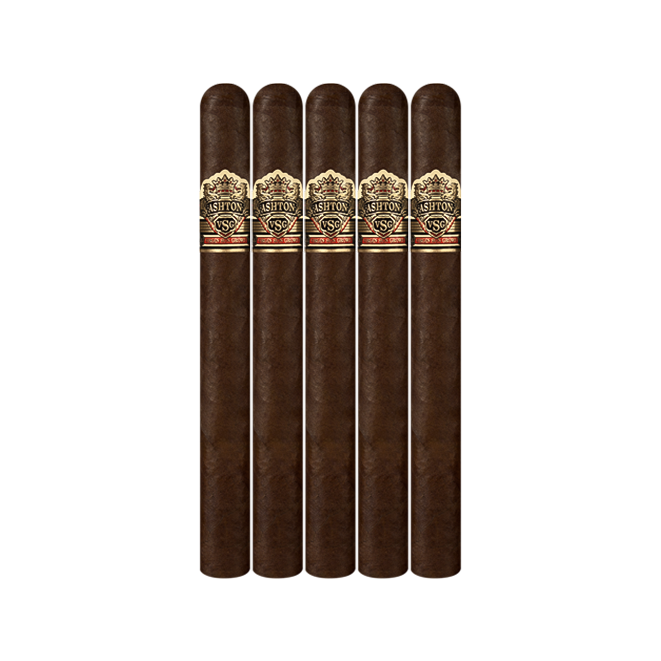 Ashton VSG Sorcerer Churchill
