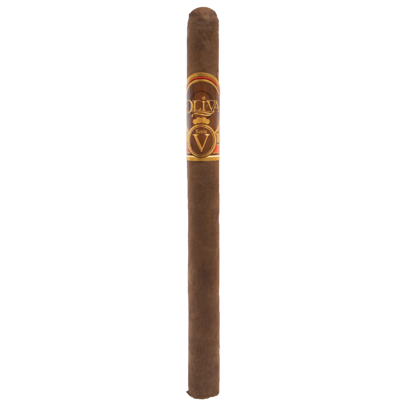 Oliva V Lancero